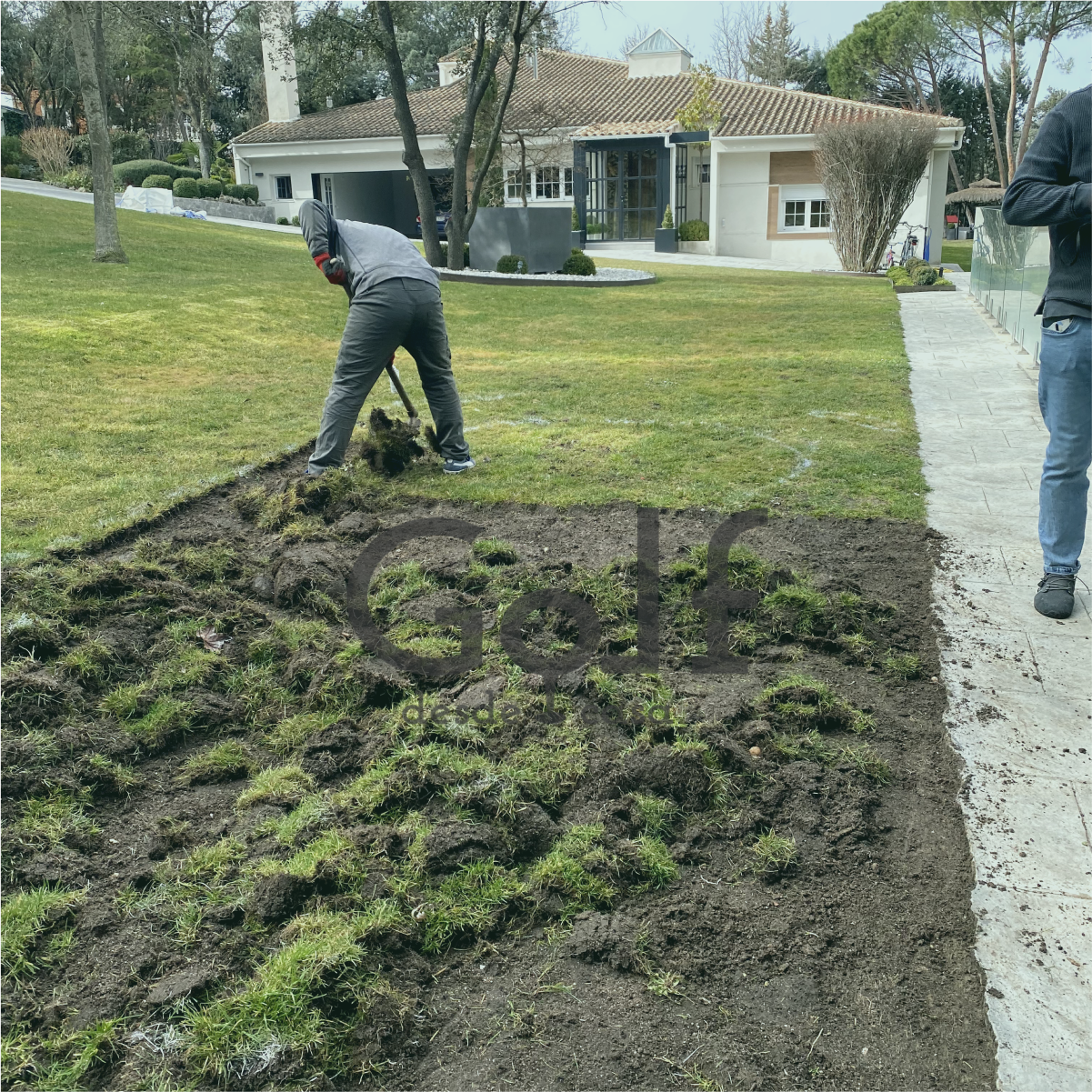 imagen-proyecto-14